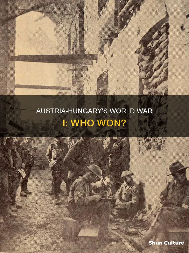 did austria-hungary win ww1