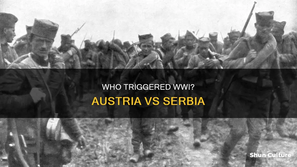 did austria or serbia start ww1