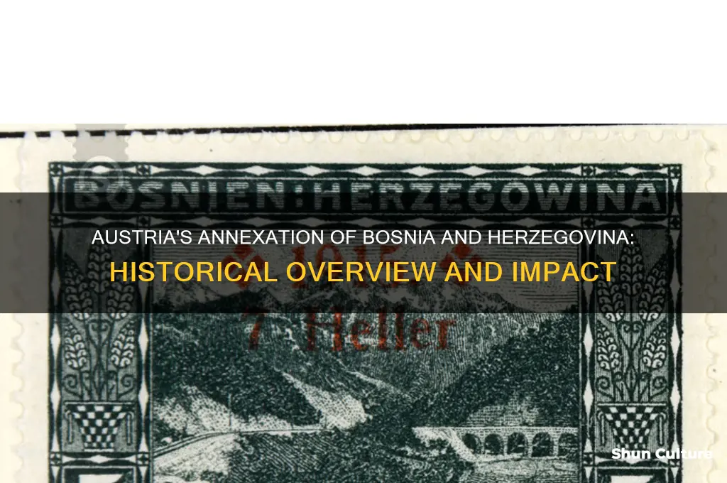 did austria take over bosnia and herzegovina