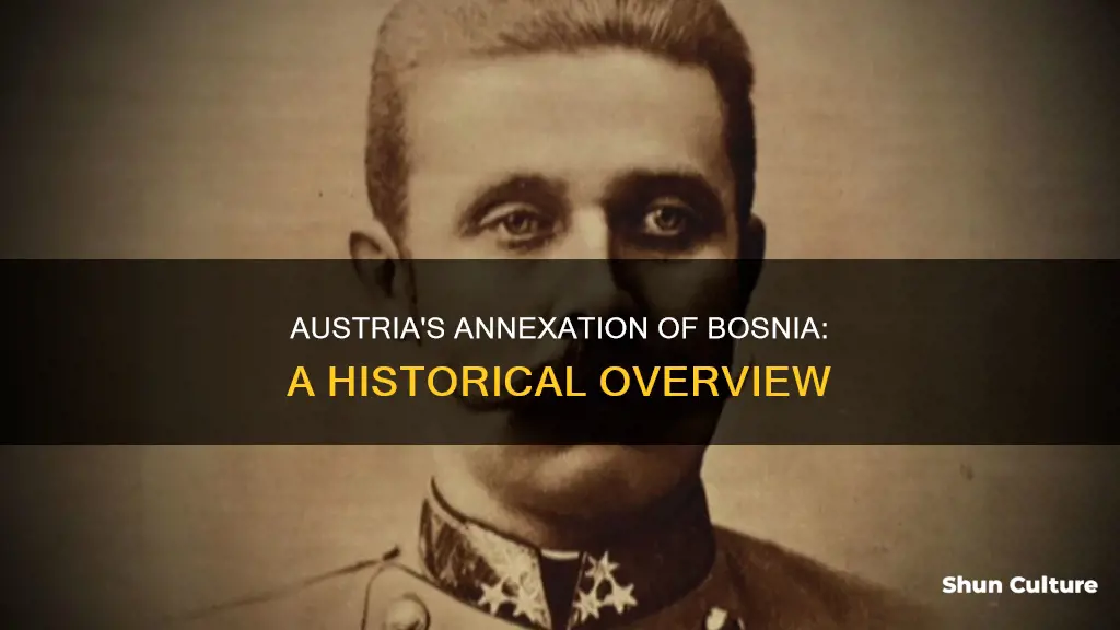 did austria take over bosnia