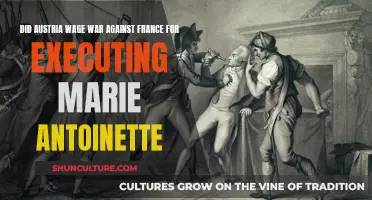 Austria's War: Marie Antoinette's Execution and France's Conflict