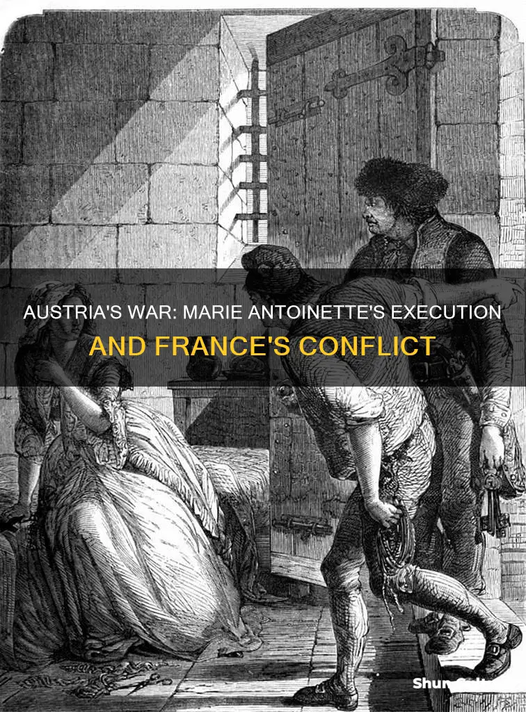 did austria wage war against france for executing marie antoinette