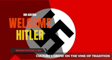 Hitler's Welcome in Austria: A Complicated History