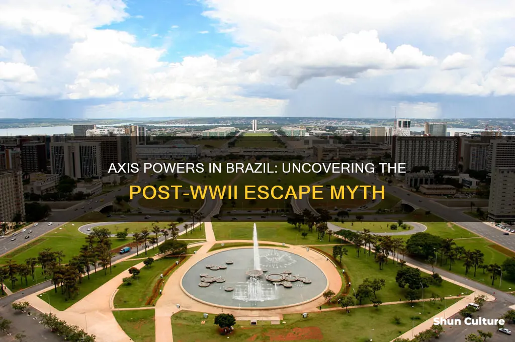 did axis powers flee to brazil