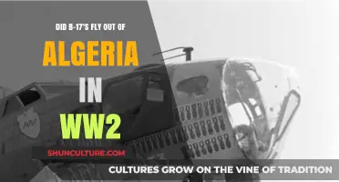 B-17 Missions from Algeria: Uncovering WWII North African Operations