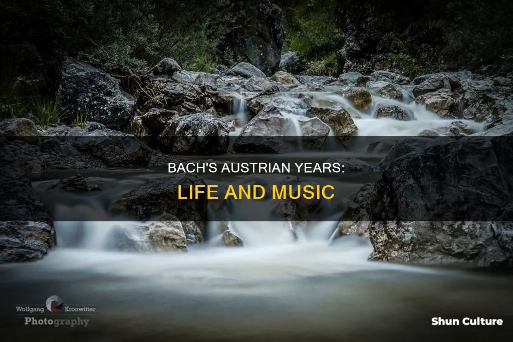 did bach like in austria