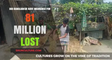 Bangladesh's Insurance Coverage: 81 Million Lost, Protected or Uninsured?