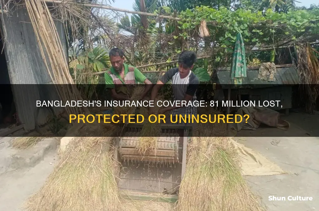 did bangladesh have insurance for 81 million lost