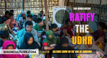 Bangladesh and the UDHR: Ratification Status and Human Rights Commitment