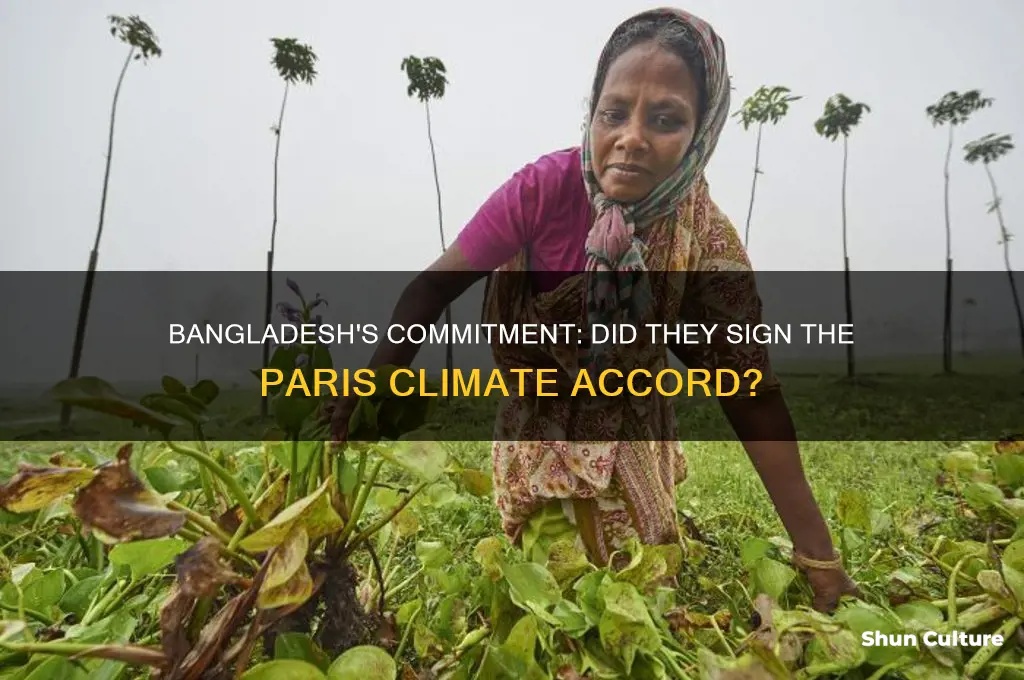 did bangladesh sign the paris accord