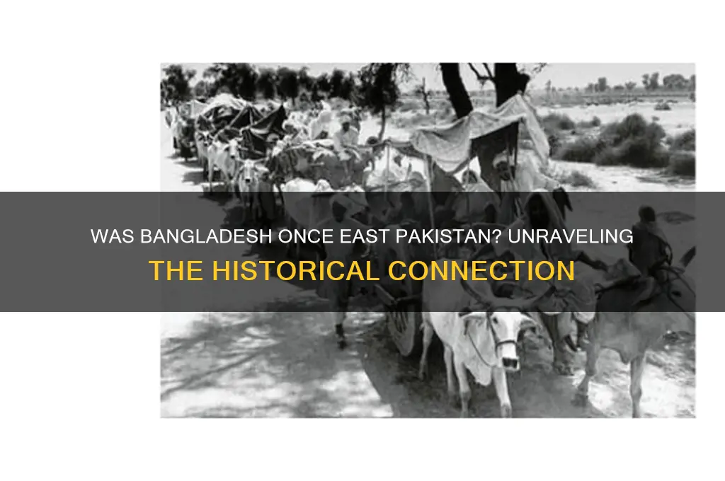 did bangladesh used to be east pakistan