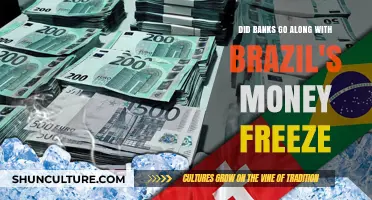 Brazil's Money Freeze: Did Banks Comply with the Controversial Move?