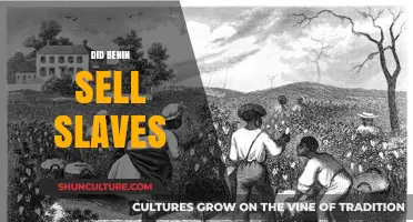 The Historical Slave Trade in Benin: Uncovering the Truth