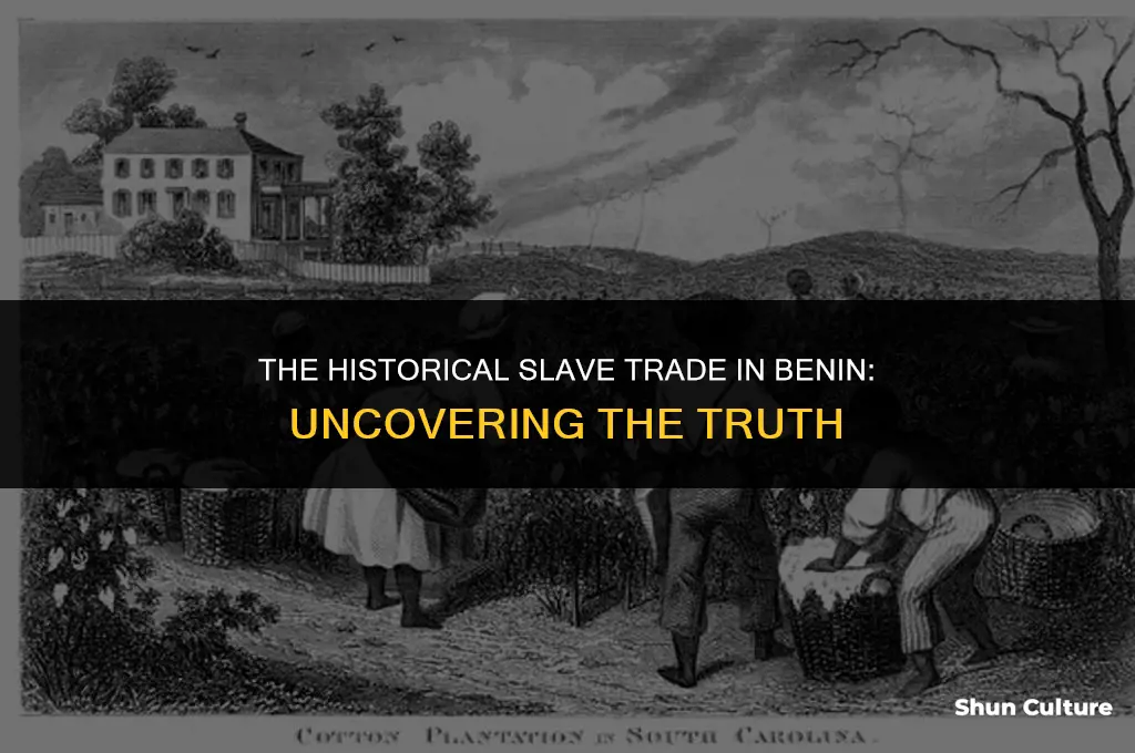 did benin sell slaves