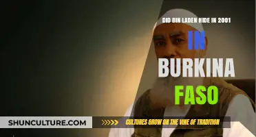 Unveiling the Truth: Bin Laden's Alleged 2001 Burkina Faso Hideout