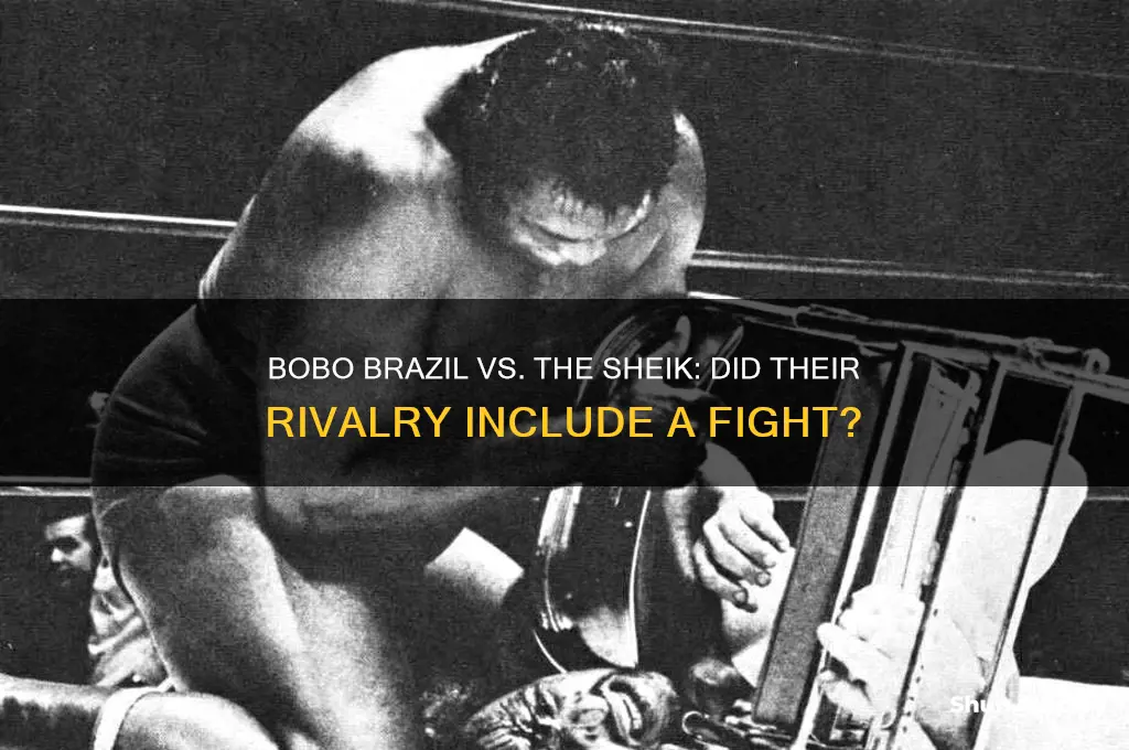did bobo brazil fight the sheik