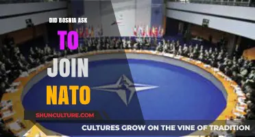Bosnia's NATO Membership Bid: A Quest for Security and Alliance