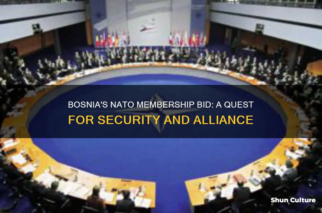 did bosnia ask to join nato