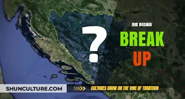 Bosnia's Breakup: Unraveling the Complexities of a Nation's Division
