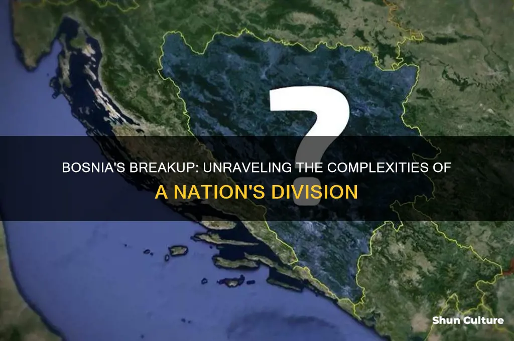 did bosnia break up