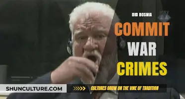 Bosnia's War Crimes: Uncovering Truths and International Justice
