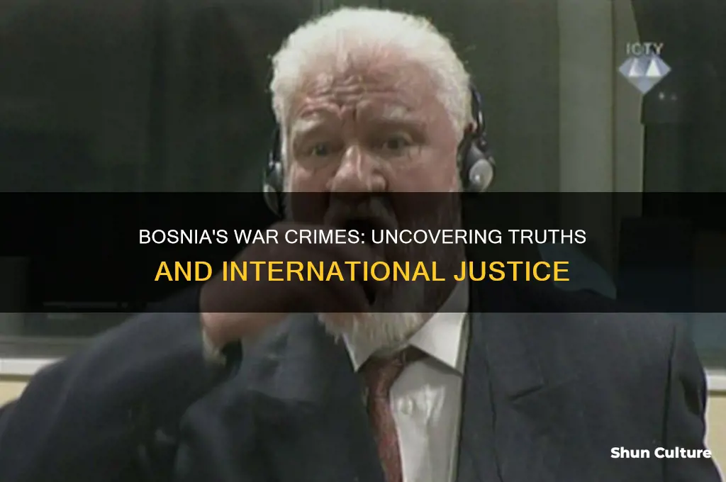 did bosnia commit war crimes