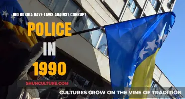 Bosnia's 1990 Anti-Corruption Laws: Did They Target Police Misconduct?