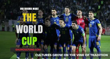Bosnia's World Cup Journey: Did They Secure a Spot in 2022?
