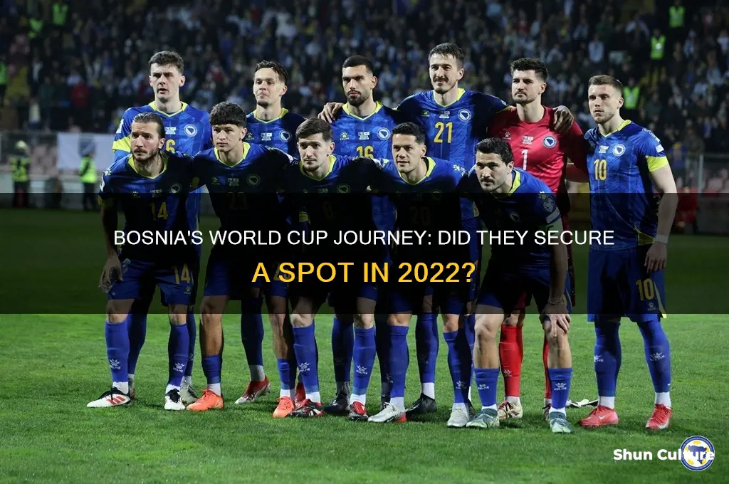 did bosnia make the world cup