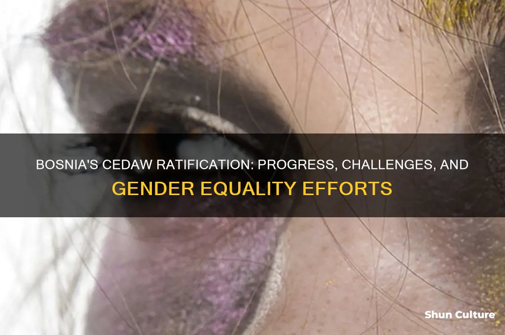 did bosnia ratify cedaw