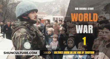 Did Bosnia's Spark Ignite World War 1? Unraveling the Trigger