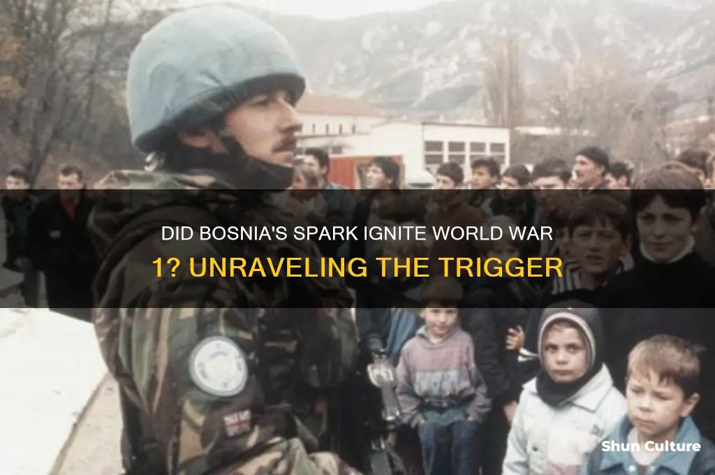 did bosnia start world war 1