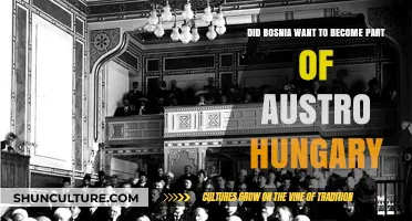 Bosnia's Annexation: Did It Seek Austro-Hungarian Integration?
