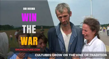 Bosnia's War Legacy: Victory, Peace, or Ongoing Struggle?