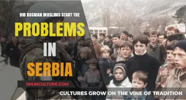 Unraveling the Serbian-Bosnian Conflict: Who Ignited the Tensions First?