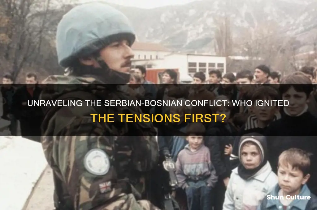 did bosnian muslims start the problems in serbia