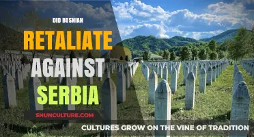 Bosnian Retaliation Against Serbia: Unraveling the Aftermath of Conflict