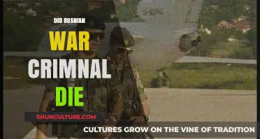 Bosnian War Criminal's Death: Fact or Fiction? Unraveling the Mystery