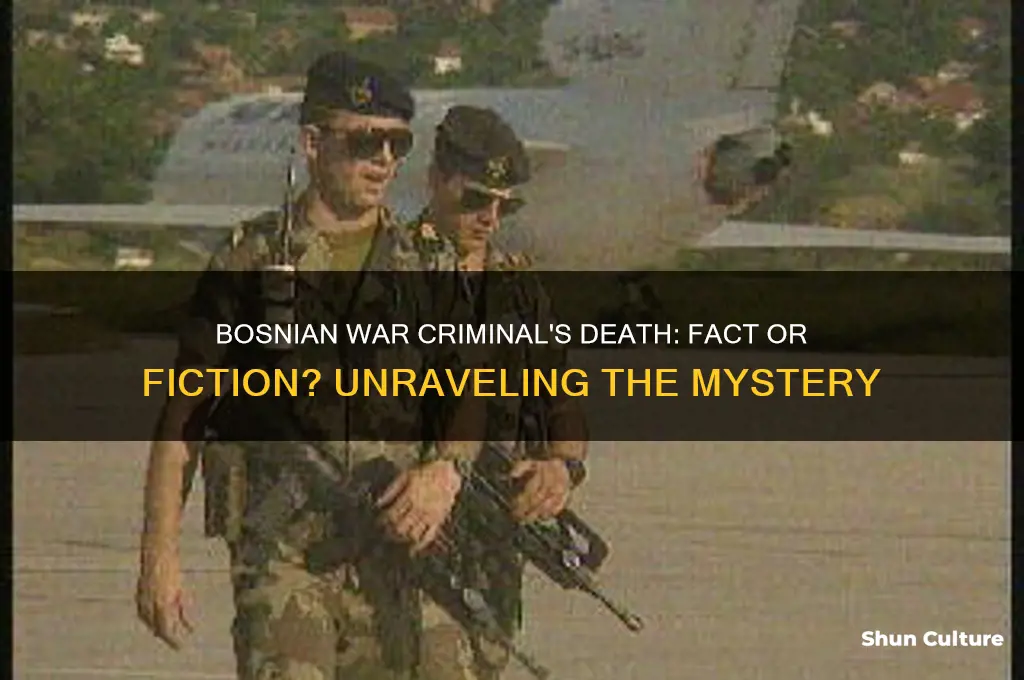 did bosnian war crimnal die