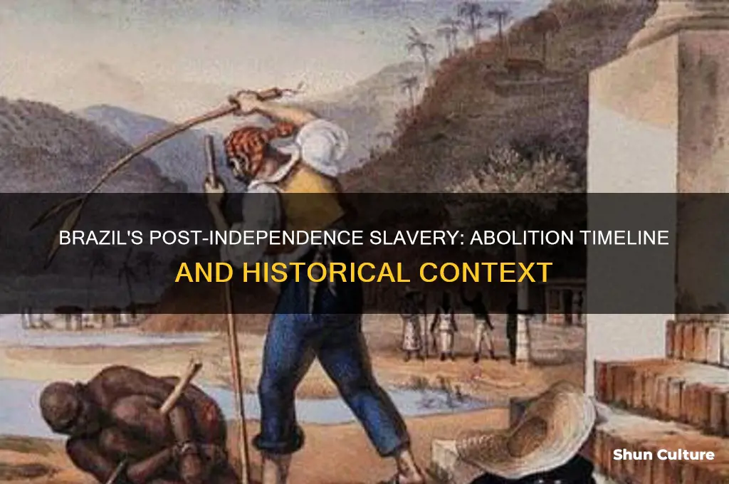 did brazil abolish slavery after independence
