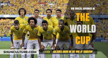 Brazil's World Cup Journey: Did They Advance to the Next Stage?