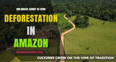 Brazil's Amazon Pledge: Zero Deforestation Commitment Explained