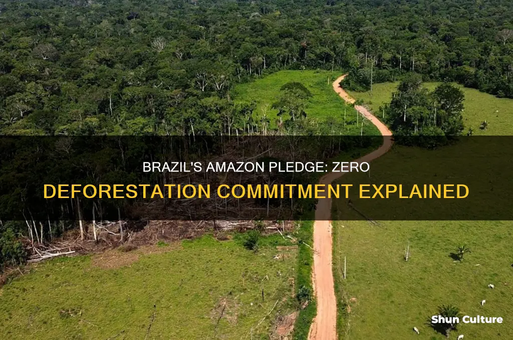 did brazil agree to zero deforestation in amazon
