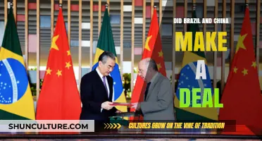 Brazil-China Deal: Unveiling the Strategic Partnership and Its Global Impact
