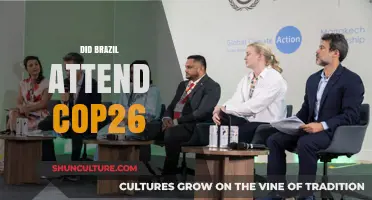 Brazil's Participation in COP26: Insights and Environmental Commitments