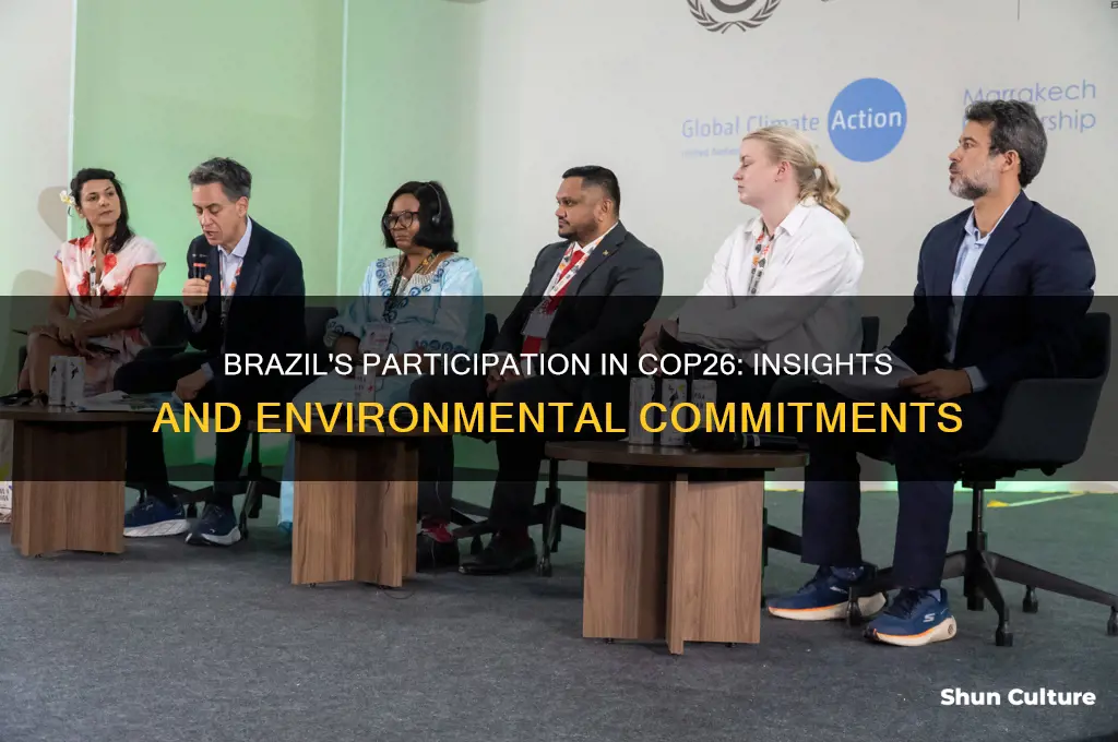 did brazil attend cop26