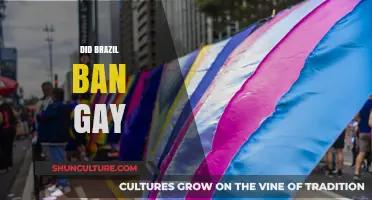 Brazil's Stance on LGBTQ+ Rights: Debunking the Gay Ban Myth