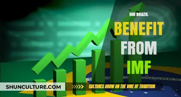 Brazil's Economic Journey: IMF Influence and National Gains Explored