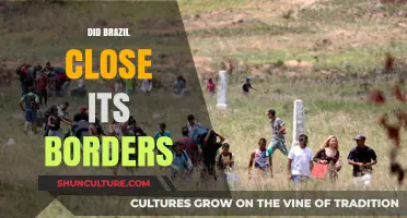 Brazil's Border Closure: Impact, Reasons, and Current Status Explained