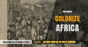 Brazil's African Connections: Exploring Historical Colonization and Cultural Influences